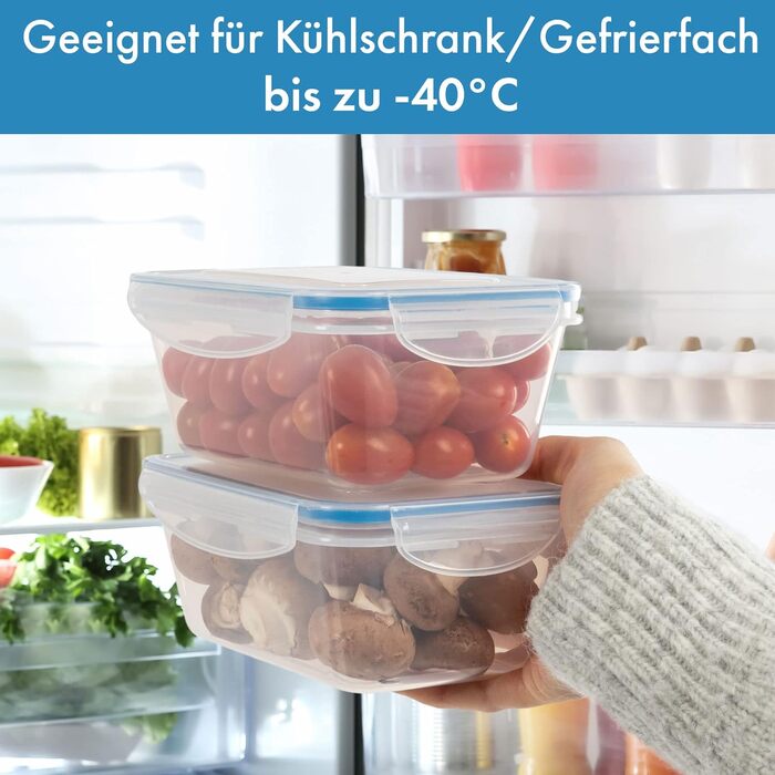 Набор пищевых прозрачных контейнеров, 6 предметов, Classbach