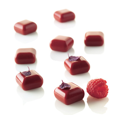 MICRO GEM5 Форма из резины