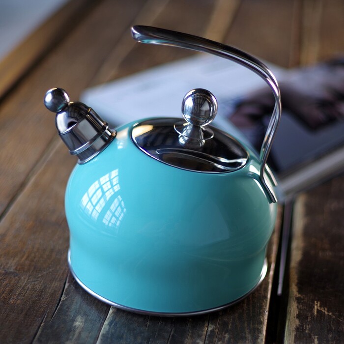 Чайник для плити Fissman зі свистком PALOMA 2,5 л (5962)