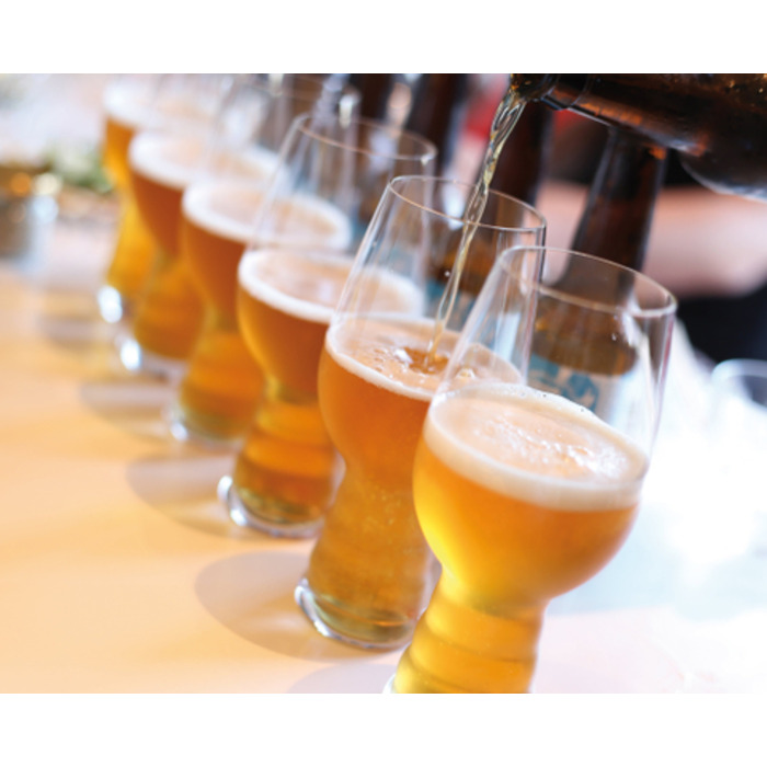 Набір келихів для крафтового пива IPA 540 мл, 6 предметів Craft Beer Glasses Spiegelau