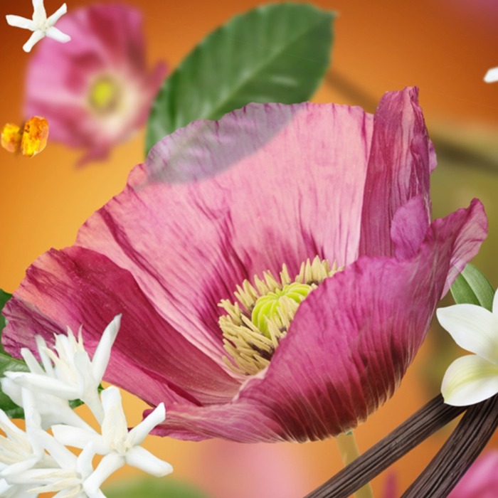 Диффузор для автомобиля Maison Berger Paris SMART с ароматом VELVET OF ORIENT