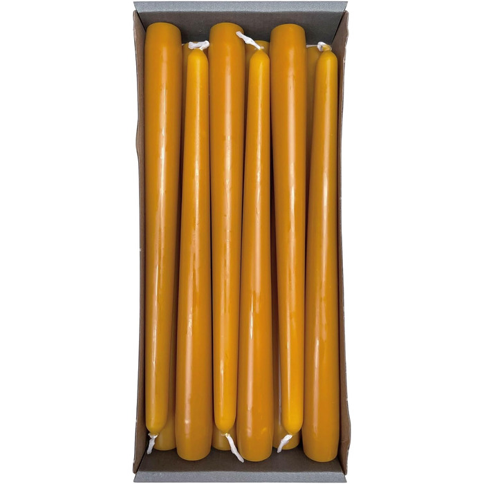 Набір з 12 конічних свічок 2,3 x 25 см, гірчично-жовтий Nordring