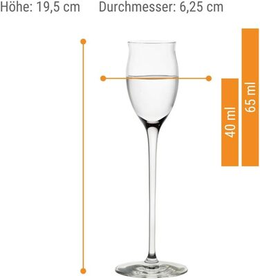 Набір із 6 чарок з ніжкою 65 мл, Quatrophil Stölzle Lausitz