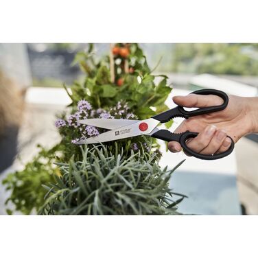 Колекція Twin L от Zwilling