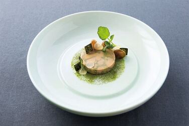 Тарілка гурман 24 см салатова Kolibri ASA-Selection