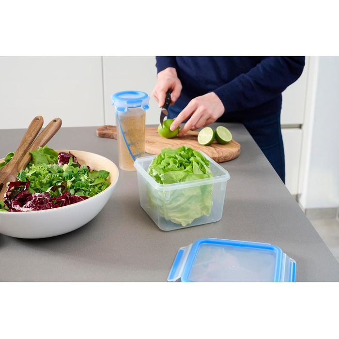 Набір контейнерів для зберігання продуктів EMSA Clip & Close, прямокутні, 5 x 0,8 л, коробки для зберігання, 100 герметичні, придатні для миття в посудомийній машині, морозильної камери та мікрохвильової печі, прозорі, сині, зроблені в Німеччині, N10307 (