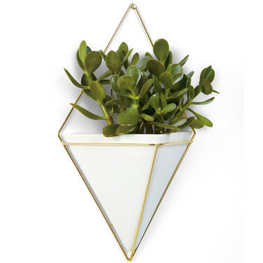 Декор для стін 22х38х12 см білий / латунь Trigg Umbra