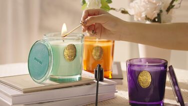 Ароматна свічка M&SENSE Лісова хатина, ароматичні свічки у склянці, натуральна соєва свічка, час горіння 55 годин, подарункові свічки для жінок та чоловіків, подарункова свічка (ягідний насичений, 260 г)