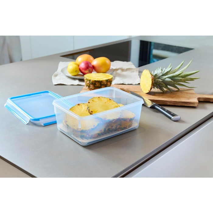Набір контейнерів для зберігання продуктів EMSA Clip & Close, прямокутні, 5 x 0,8 л, коробки для зберігання, 100 герметичні, придатні для миття в посудомийній машині, морозильної камери та мікрохвильової печі, прозорі, сині, зроблені в Німеччині, N10307 (