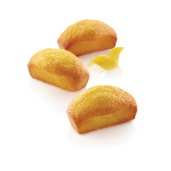 SQ069 Форма из резины