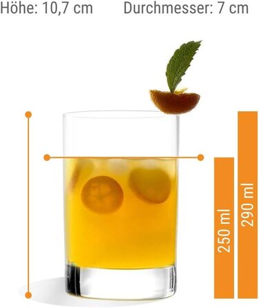 Набір із 6 склянок для води/соку 290 мл, New York Bar Stölzle Lausitz