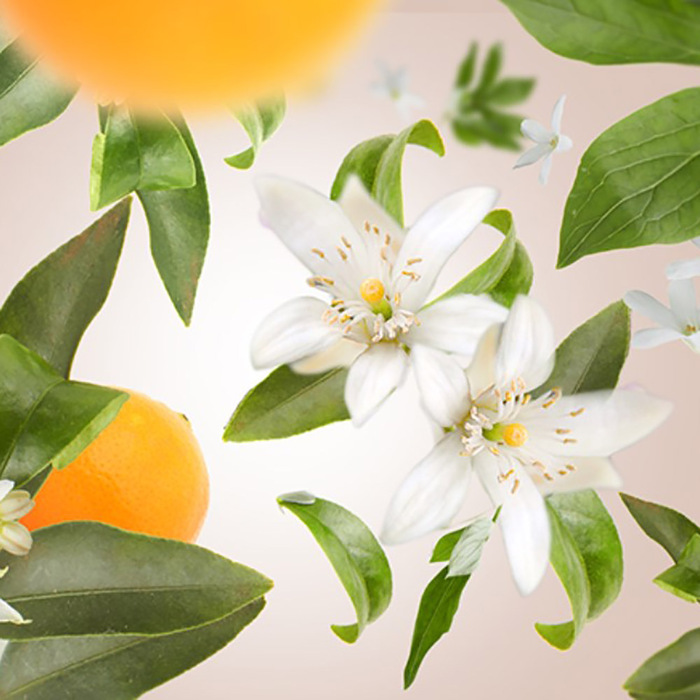 Дифузор Maison Berger Paris ICE CUBE, з ароматом ORANGE BLOSSOM, 125 мл