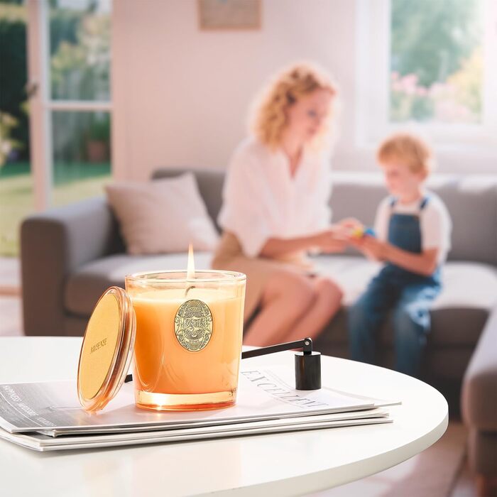 Ароматна свічка M&SENSE &quotЛісова хатина&quot, ароматичні свічки у склянці, натуральна соєва свічка, час горіння 55 годин, подарункові свічки для жінок та чоловіків, подарункова свічка (базилік-імбир, 260 г)