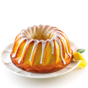 SFT250/C Форма из резины