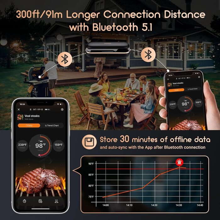 Термометр для м'яса, бездротовий INT-11P-BInkbird Inkbird