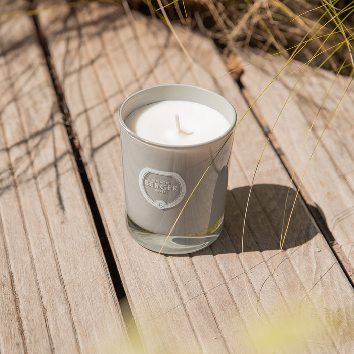 Свічка ароматизована протимоскітна Maison Berger Paris CITRONELLA, 240 гр.