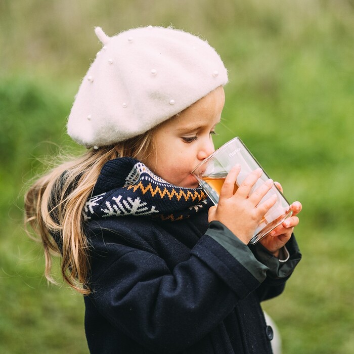 Набір з двух склянок Fissman IRISH 200 мл з подвійними стінками (6444)