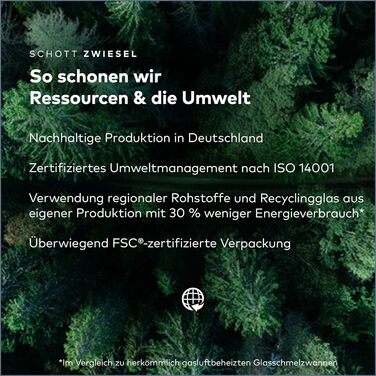 Келих для шампанського 0,2 л, набір 6 предметів, Classico Schott Zwiesel