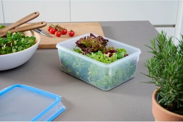 Набір контейнерів для зберігання продуктів EMSA Clip & Close, прямокутні, 5 x 0,8 л, коробки для зберігання, 100 герметичні, придатні для миття в посудомийній машині, морозильної камери та мікрохвильової печі, прозорі, сині, зроблені в Німеччині, N10307 (