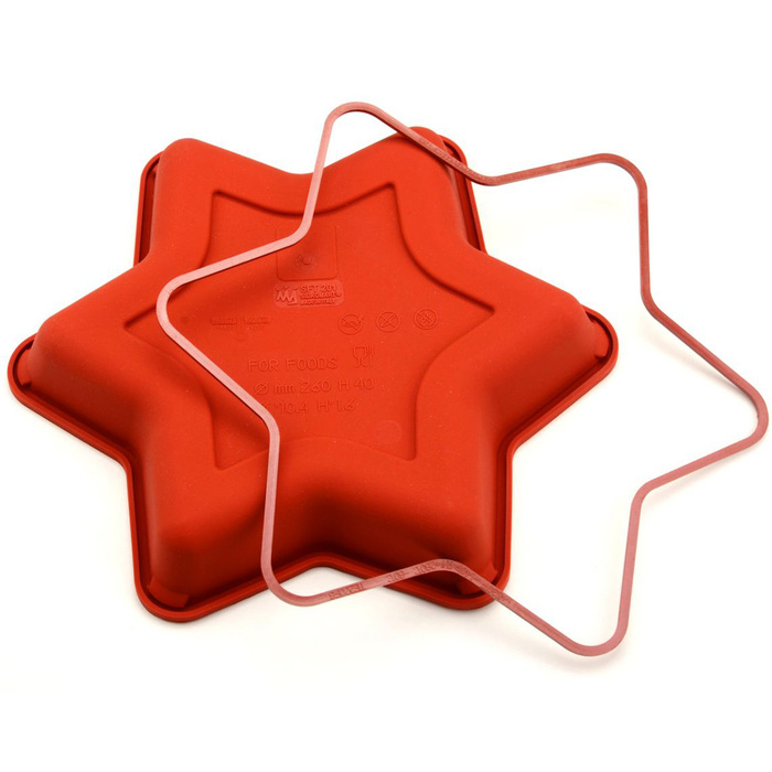 SFT201/C Форма из резины