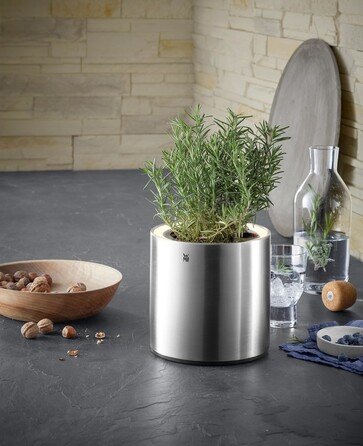 Колекція Ambient от WMF