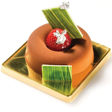 SF012/C Форма из резины