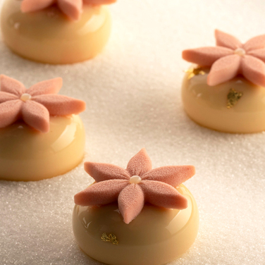 COROLLE 4 Форма силіконова