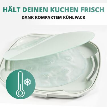 Контейнер для тортов переносной 33 x 34 x 19 см, зеленый Homelyn