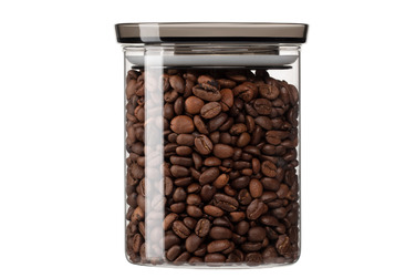 ARDESTO Storage Jar Fresh, 700мл, стекло, пластик, прозрачный