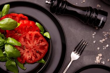 Набір тарілок на 6 персон, 24 предмети Konsimo