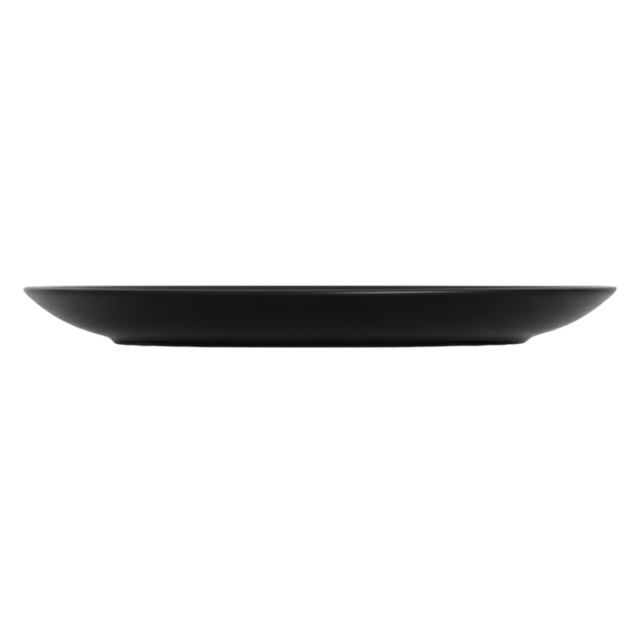 Тарелка обеденная Luminarc Apy Black, 25 см (7234994)