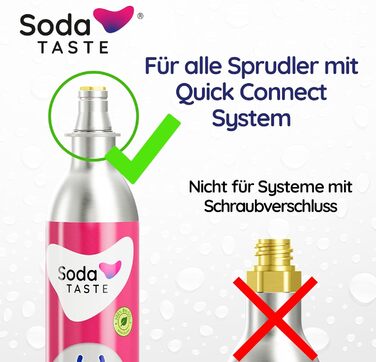 Набір із 2 змінних CO2-балонів для газування Soda TASTE