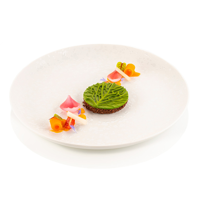 VERZA12 Форма из резины