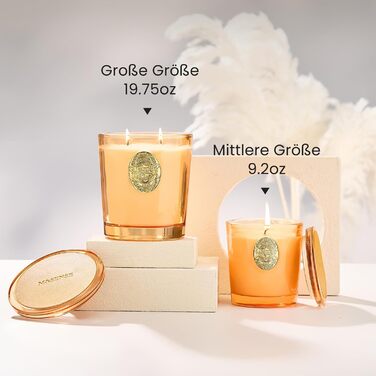 Ароматна свічка M&SENSE &quotЛісова хатина&quot, ароматичні свічки у склянці, натуральна соєва свічка, час горіння 55 годин, подарункові свічки для жінок та чоловіків, подарункова свічка (базилік-імбир, 260 г)