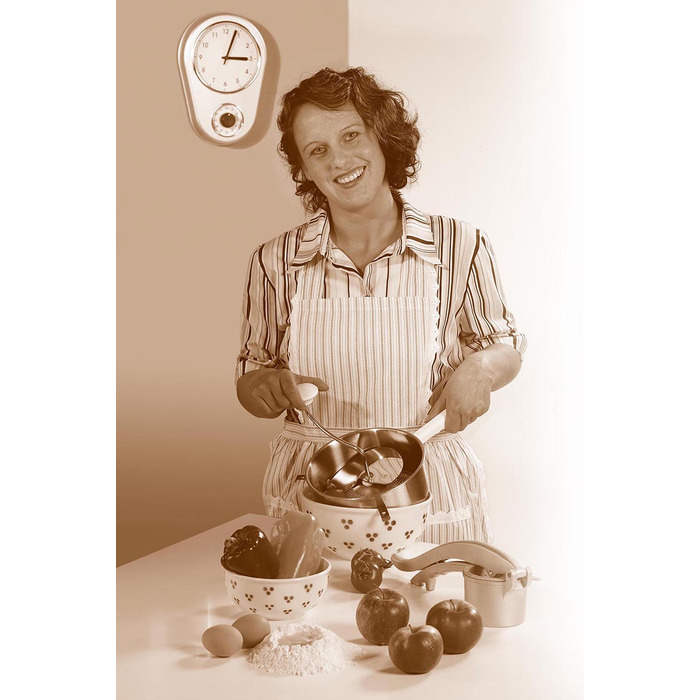 Млин для перетирання фруктів та овочів Flotte Lotte Gefu