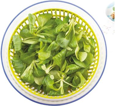 Сушарка для салату маленька 2,6 л з кришкою, Tavialo