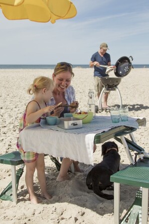 Вугільний гриль Rosle