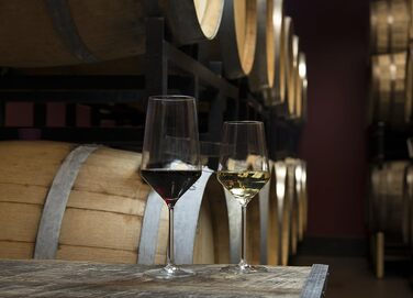 Набір з 6 келихів для білого вина 0,4 л Pure Schott Zwiesel