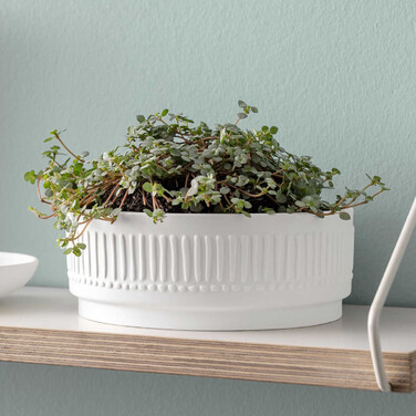 Колекція It's My Home від Villeroy & Boch