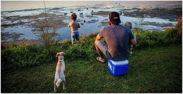 Автохолодильник 15 л Coleman