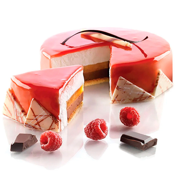 TOR160H50/1 Форма из резины