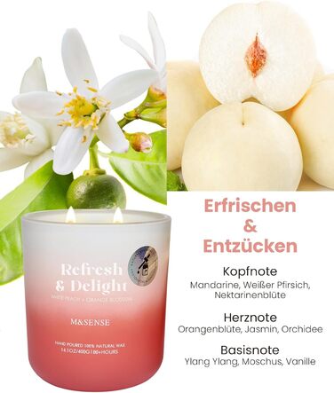 Ароматичні свічки M&SENSE Сосна та кедр у банці, велика соєва свічка 400 г з двома гнітами, час горіння 80 годин, ароматерапевтична свічка для йоги, спа та медитації. Подарунок для дівчини, дружини чи матері. Сосна та кедр (білий персик та квітка апельсин