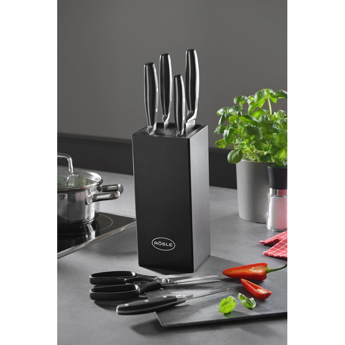 Набор ножей с деревянным блоком, 7 предметов, черный Cuisine Rosle