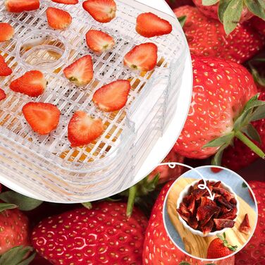 Дегидратор на 8 полок с контролем температуры, 400 Вт серебристый COOCHEER