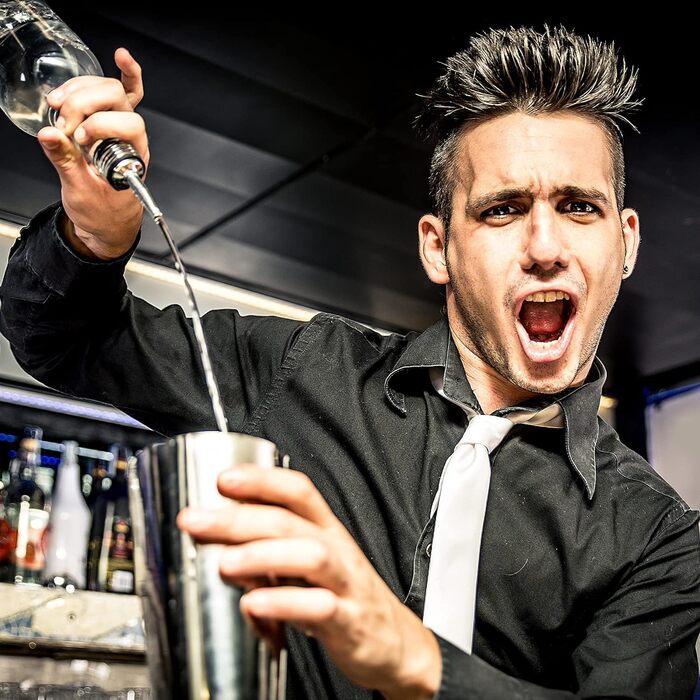 Коктейльний набір, барний набір шейкерів для коктейлів з нержавіючої сталі із 12 предметів з дерев'яною підставкою, шейкер 750 мл  (13 шт. ) AYAOQIANG