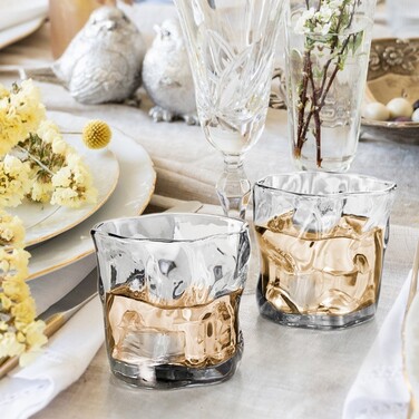 Набір з 2-х бокалів для віскі 260 мл скло Fissman