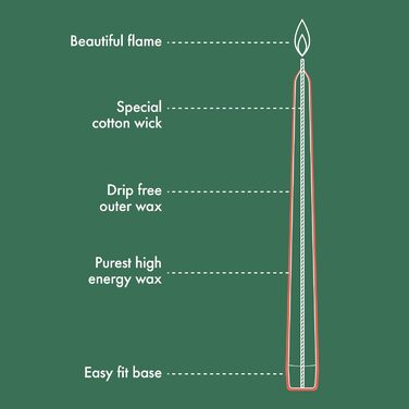 Набір з 4 конічних свічок 2,4 x 24,5 см, зелений Essentials Bolsius