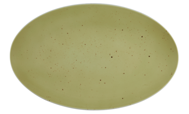 Блюдо овальне 40 х 25.5 см Country Life Oliv Coup Fine Dining Seltmann