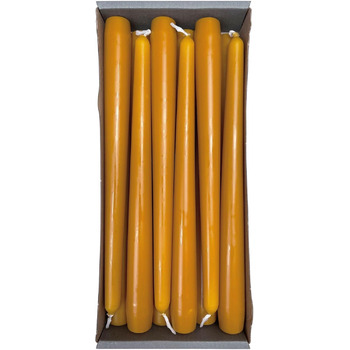 Набір з 12 конічних свічок 2,3 x 25 см, гірчично-жовтий Nordring