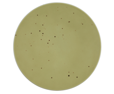 Тарелка плоская 21.5 см Country Life Oliv Coup Fine Dining Seltmann